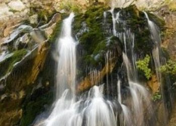 BAOB Aras Şalelesi Etkinliği