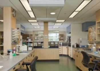 Potansiyel Pandemik Patojenlerin Yaratılması Hakkında Cambridge Çalışma Grubunun Ortak Görüş Bildirisi