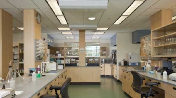 Potansiyel Pandemik Patojenlerin Yaratılması Hakkında Cambridge Çalışma Grubunun Ortak Görüş Bildirisi