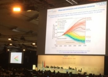 TTB, COP22’ye gözlemci olarak katıldı