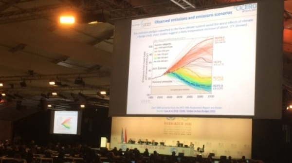 TTB, COP22’ye gözlemci olarak katıldı