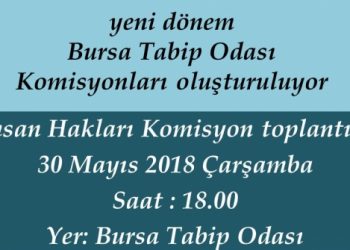 İnsan Hakları Komisyon Toplantısı