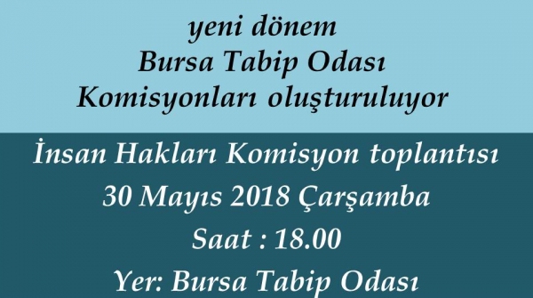 İnsan Hakları Komisyon Toplantısı