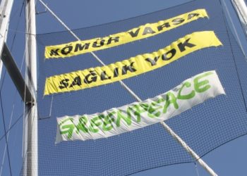 Kömürlü termik santrallerin sağlık etkileri toplantısı