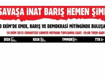 Savaşa İnat, Barış Hemen Şimdi!