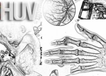 Hekimlik Uygulamaları Veritabanı Sistemine Geçiş Hakkında Duyuru