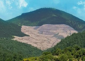 Çanakkale’de çevre talanına hayır!