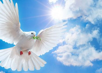 1 Eylül Dünya Barış Günü’nüz kutlu olsun.