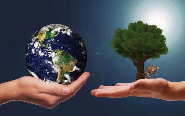 TTB’den 5 Haziran Dünya Çevre Günü açıklaması: Sağlıklı bir çevrede yaşam hakkımızı savunmaya devam edeceğiz