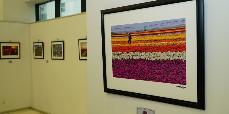 Sanatçı Hekimler Sergisi BAOB’da ziyarete açıldı