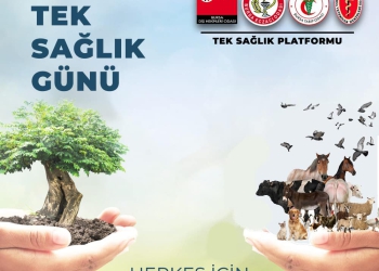 Bugün Dünya Tek Sağlık Günü