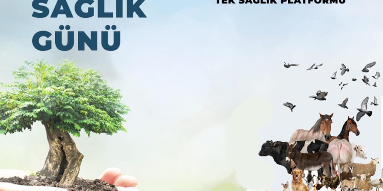 Bugün Dünya Tek Sağlık Günü