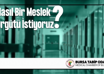 Nasıl Bir Meslek Örgütü İstiyoruz?