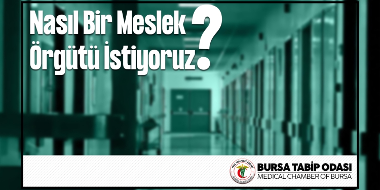 Nasıl Bir Meslek Örgütü İstiyoruz?