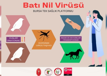 Bursa Tek Sağlık Platformu’ndan, Batı Nil Virüsü Hakkında Basın Açıklaması