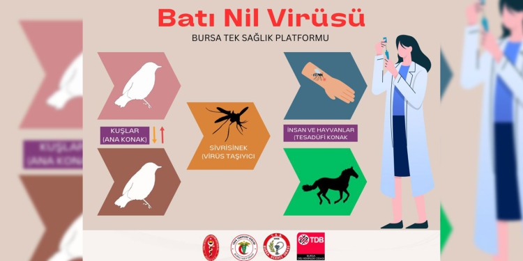 Bursa Tek Sağlık Platformu’ndan, Batı Nil Virüsü Hakkında Basın Açıklaması