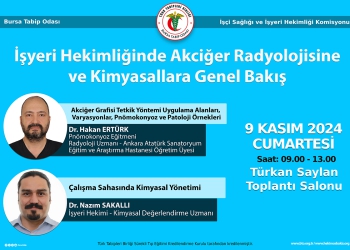 İşyeri Hekimliğinde Akciğer Radyolojisine ve Kimyasallara Genel Bakış