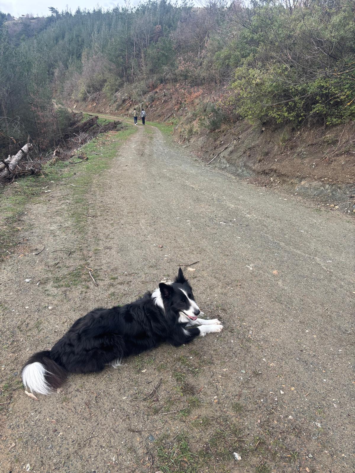 BTO Spor Komisyonu’ndan ‘Misi Köyü – Dağyenice’ Doğa Yürüyüşü