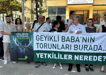 Sadece Kızıl Geyiği Değil, Bursa’nın Yaşam Hakkını Savunuyoruz!